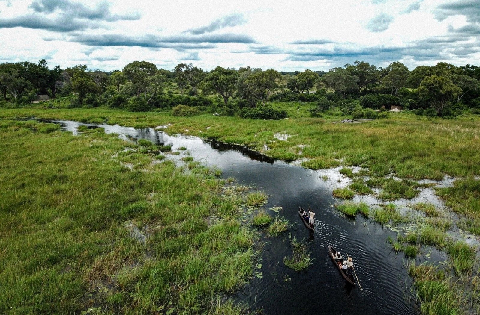Pel's Island Camp en Delta Okavango
