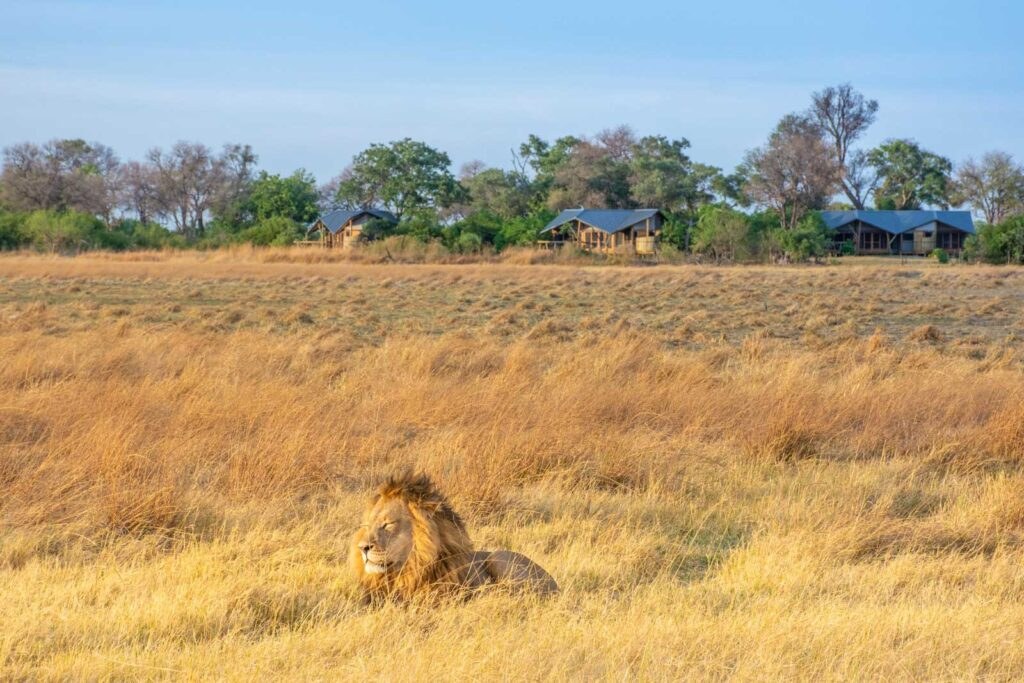 Splash Camp en Delta Okavango