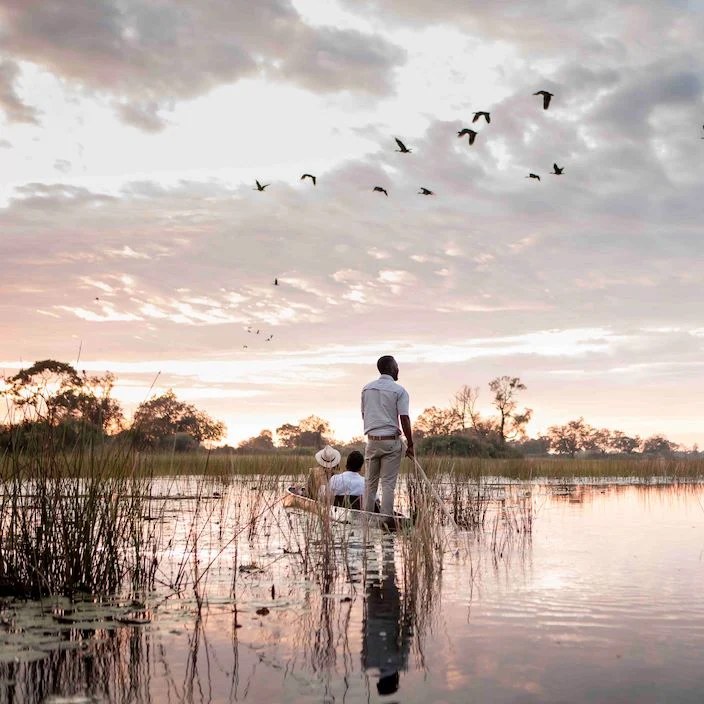Wilderness Vumbura Plains en Delta Okavango