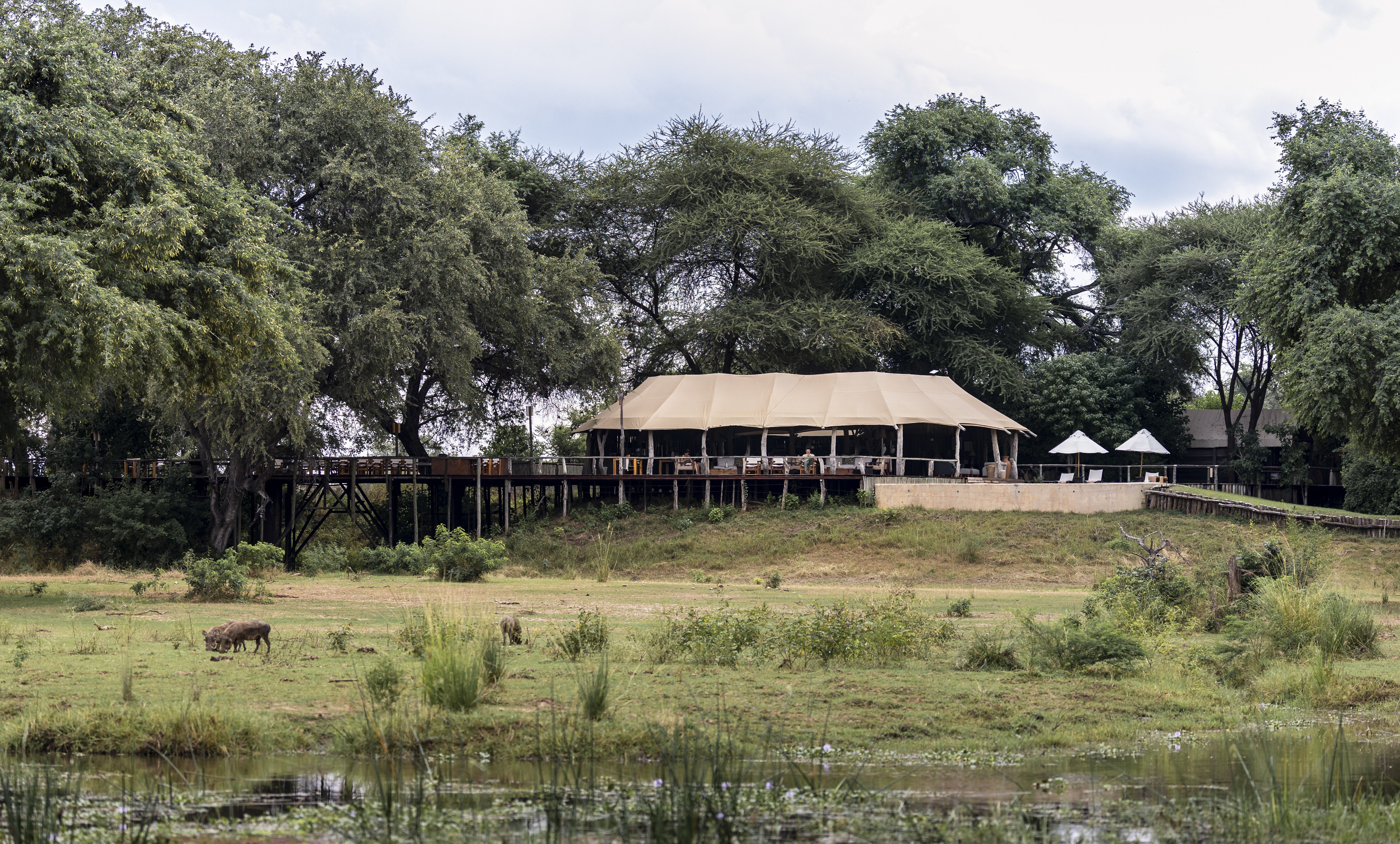 Dulini Anabezi, Lower Zambezi
