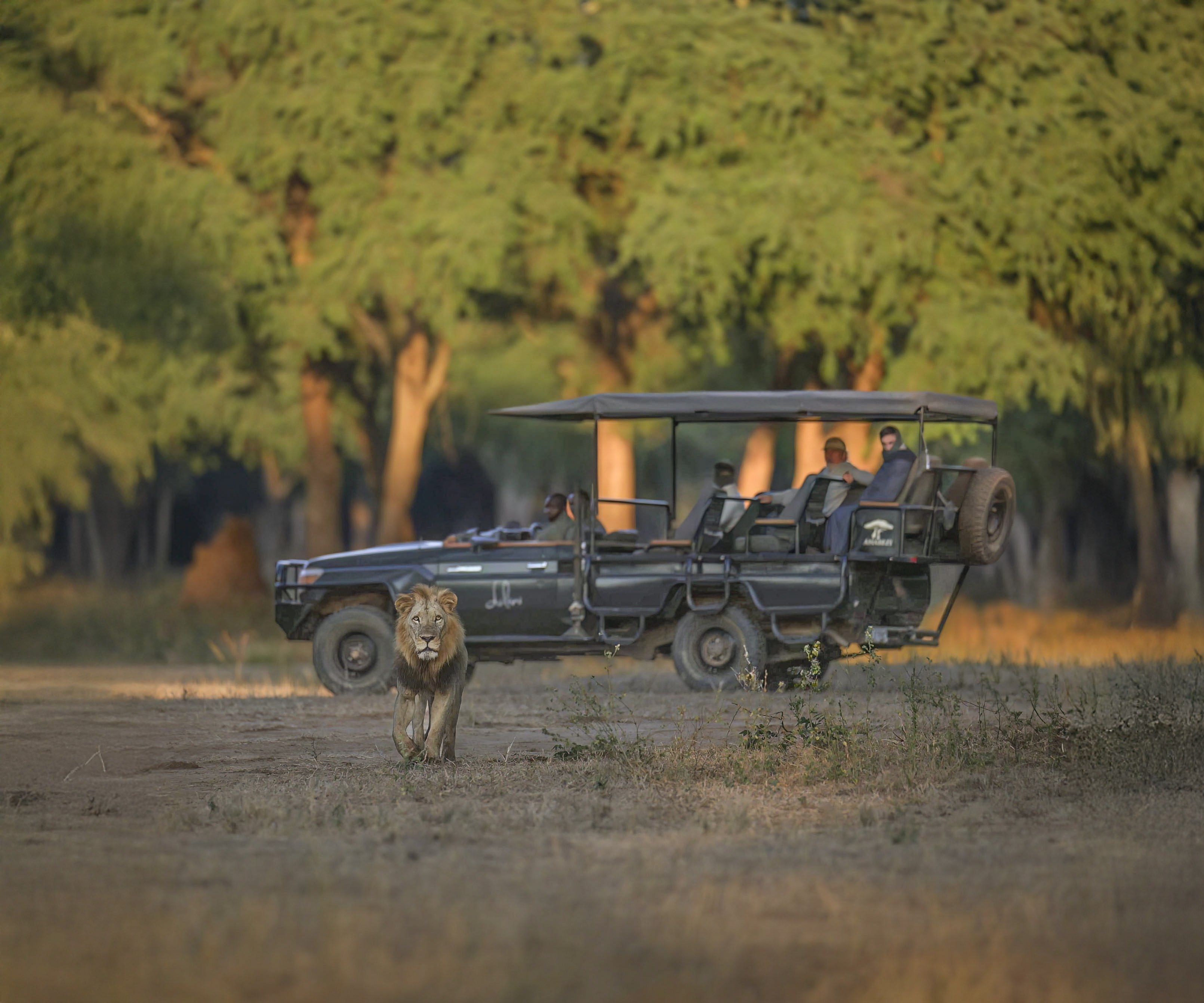 Dulini Anabezi, Lower Zambezi