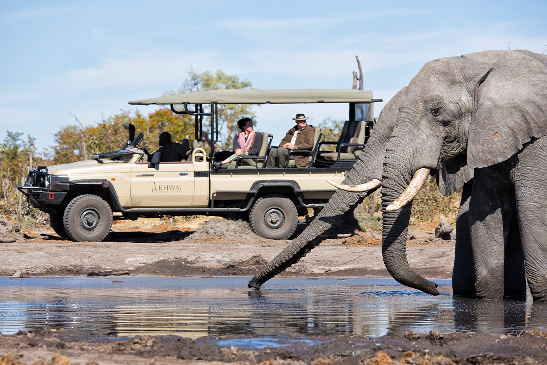 Elephant Pan, Khwai