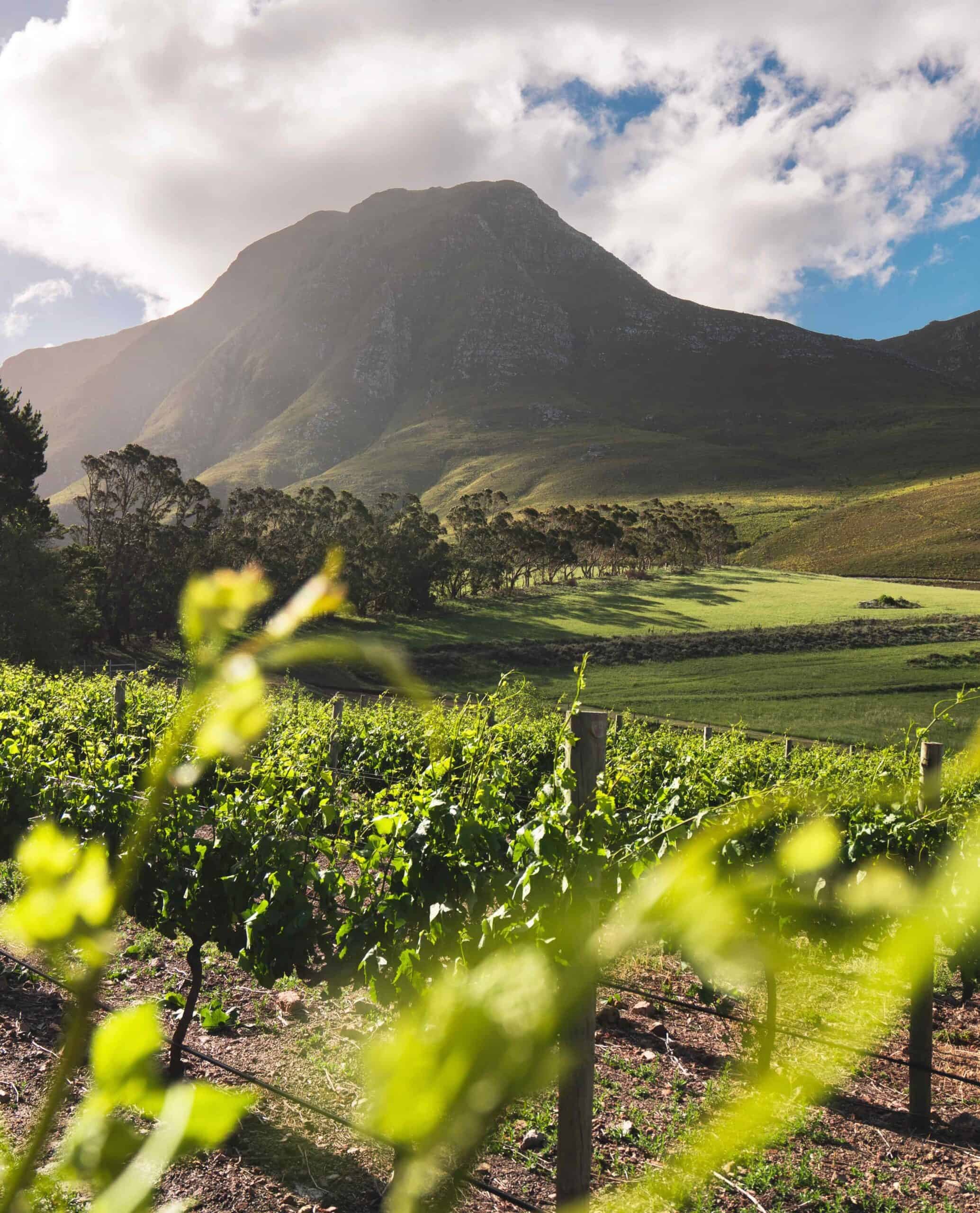 La Residence en Franschhoek