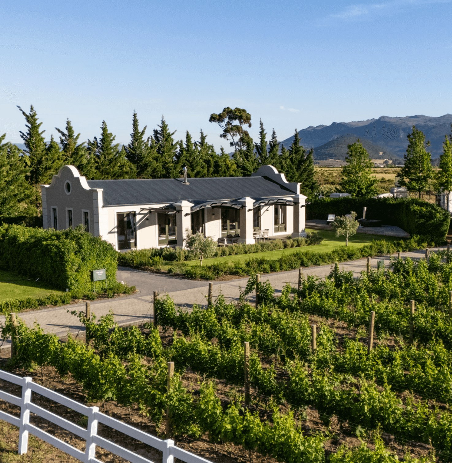 Vineyard Villa