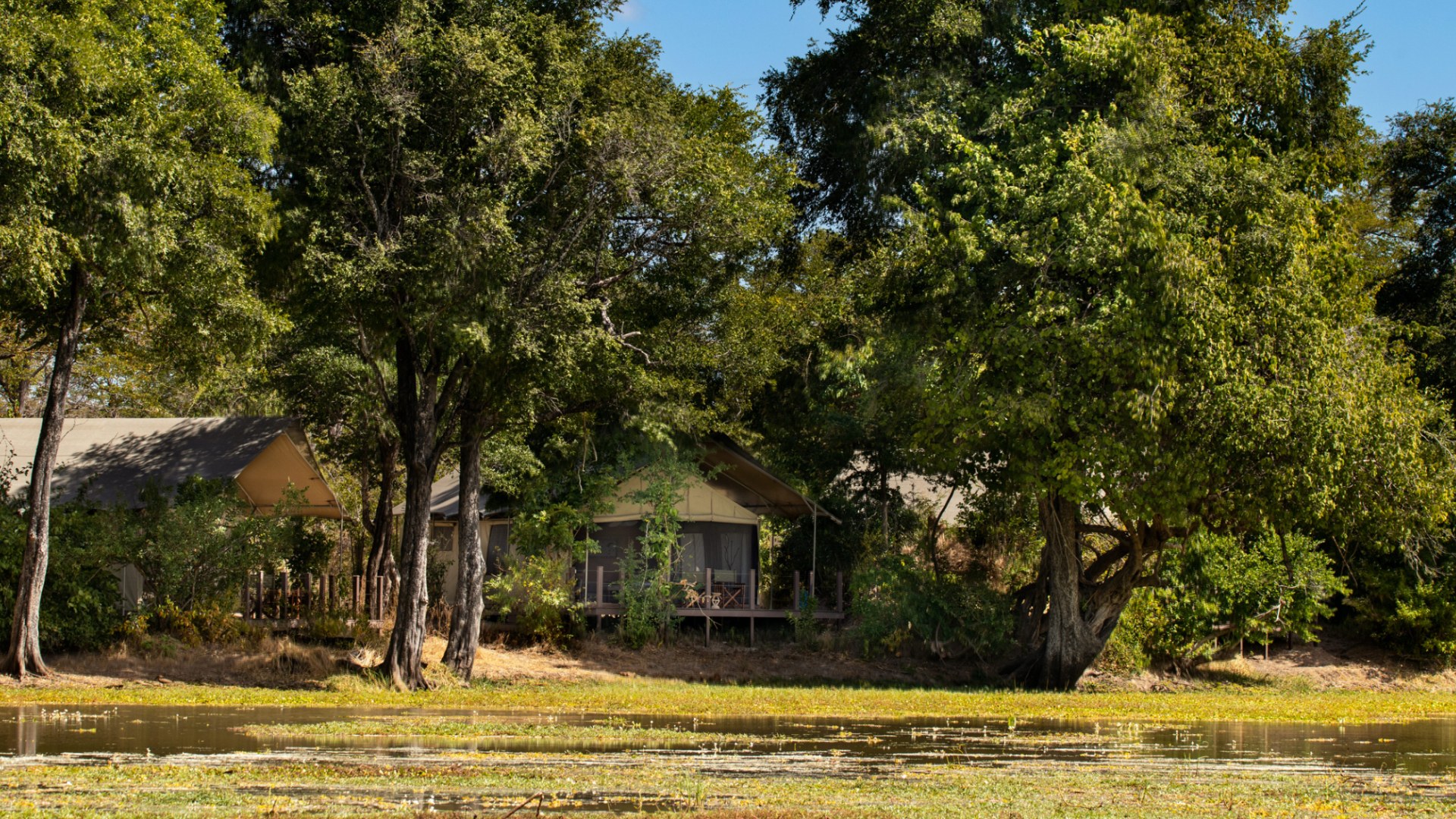 Ingwe Pan Camp, Mana Pools
