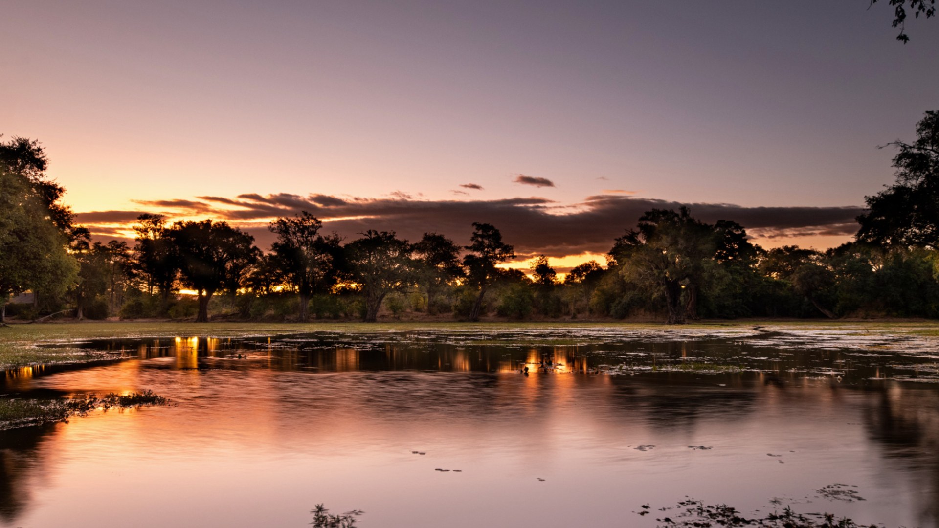 Ingwe Pan Camp, Mana Pools