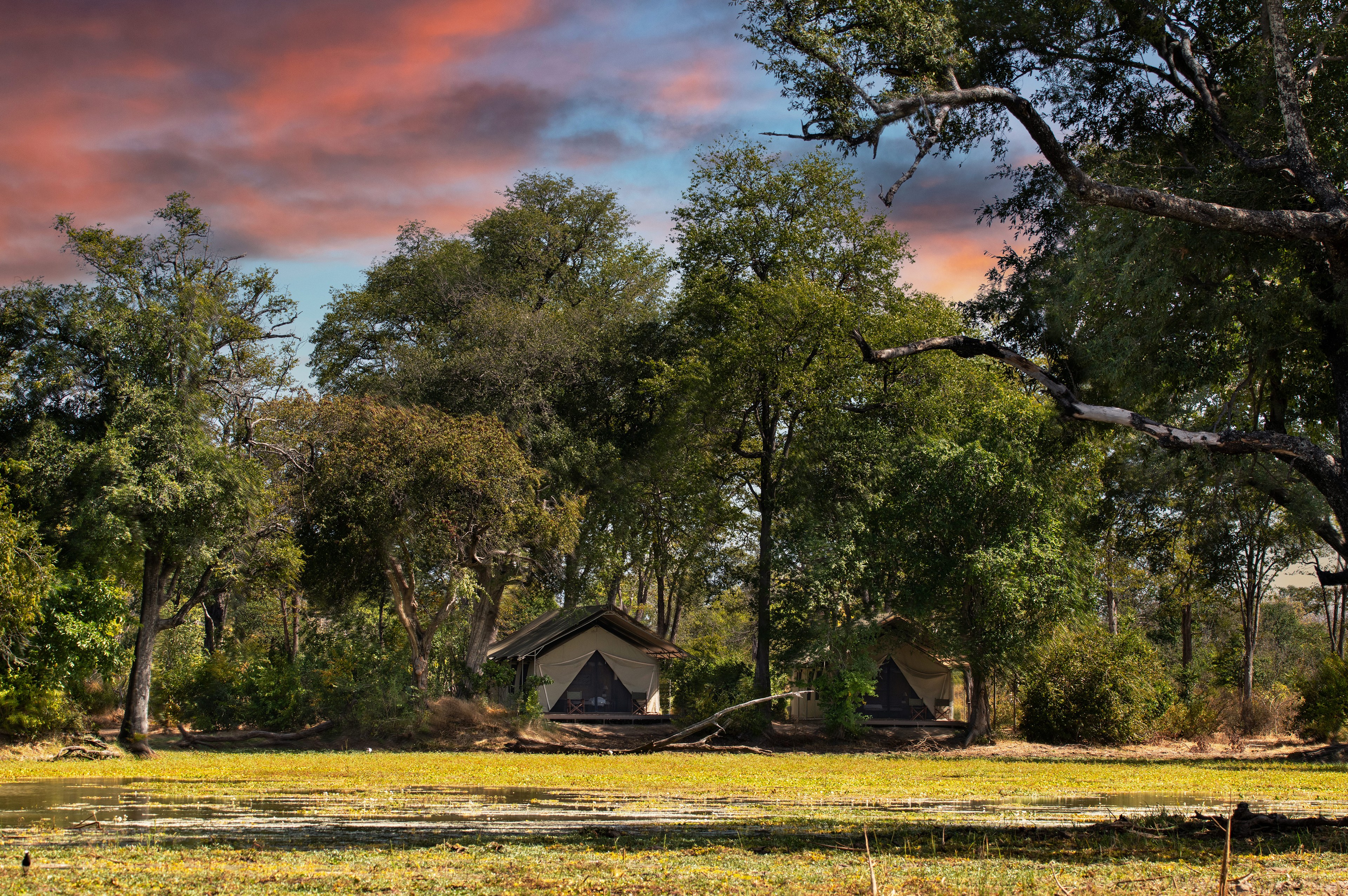 Ingwe Pan Camp, Mana Pools