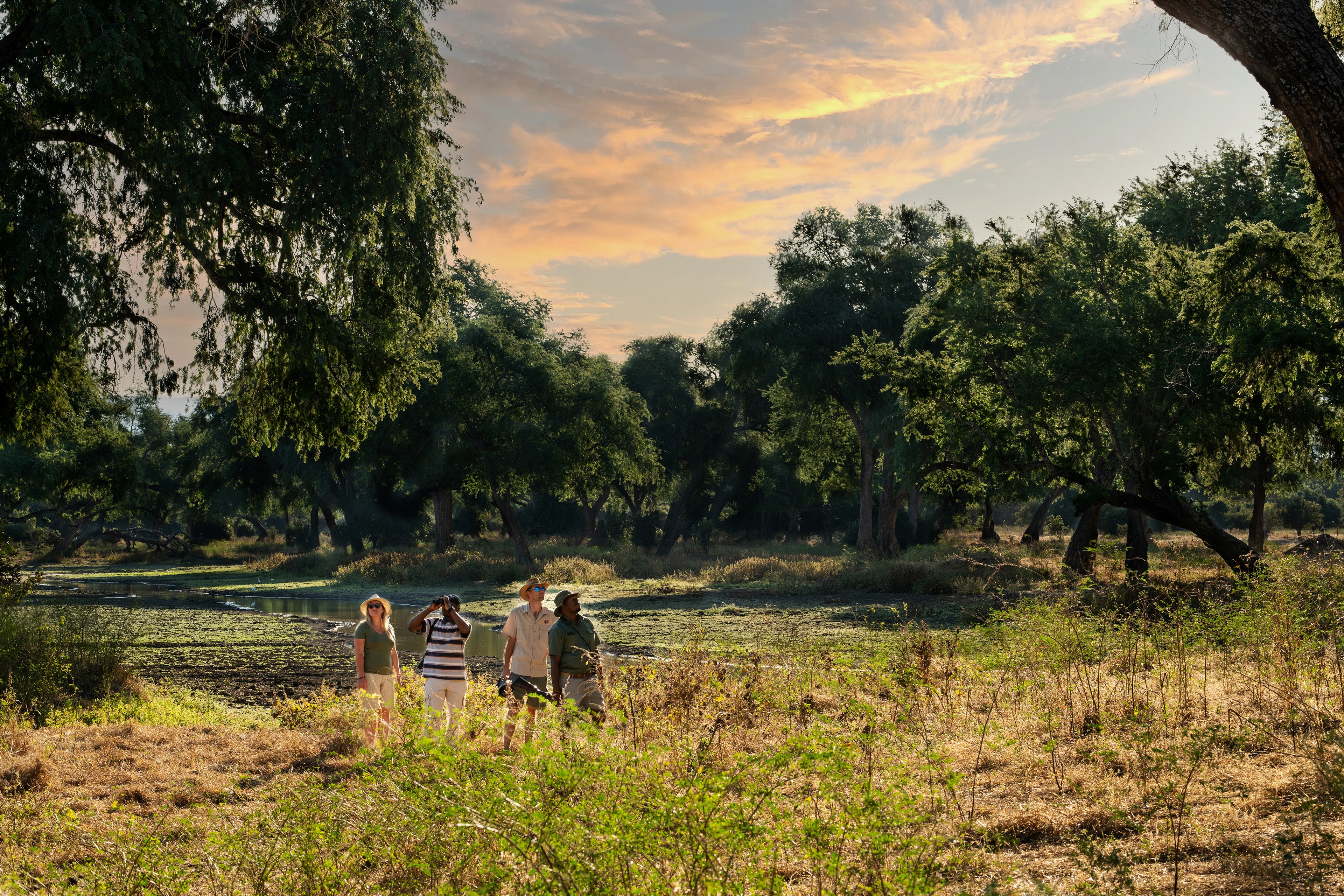 Ingwe Pan Camp, Mana Pools