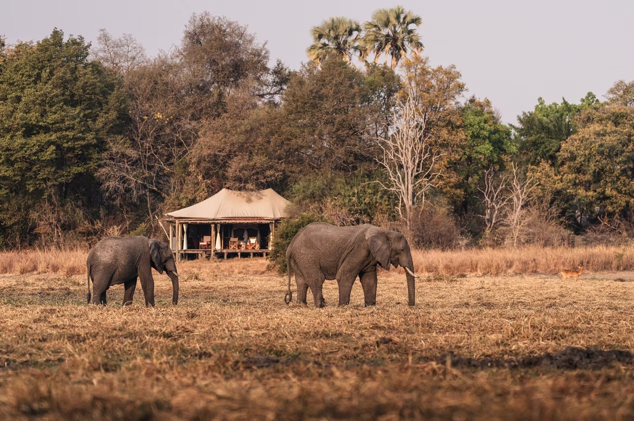 Musekese Camp en Kafue