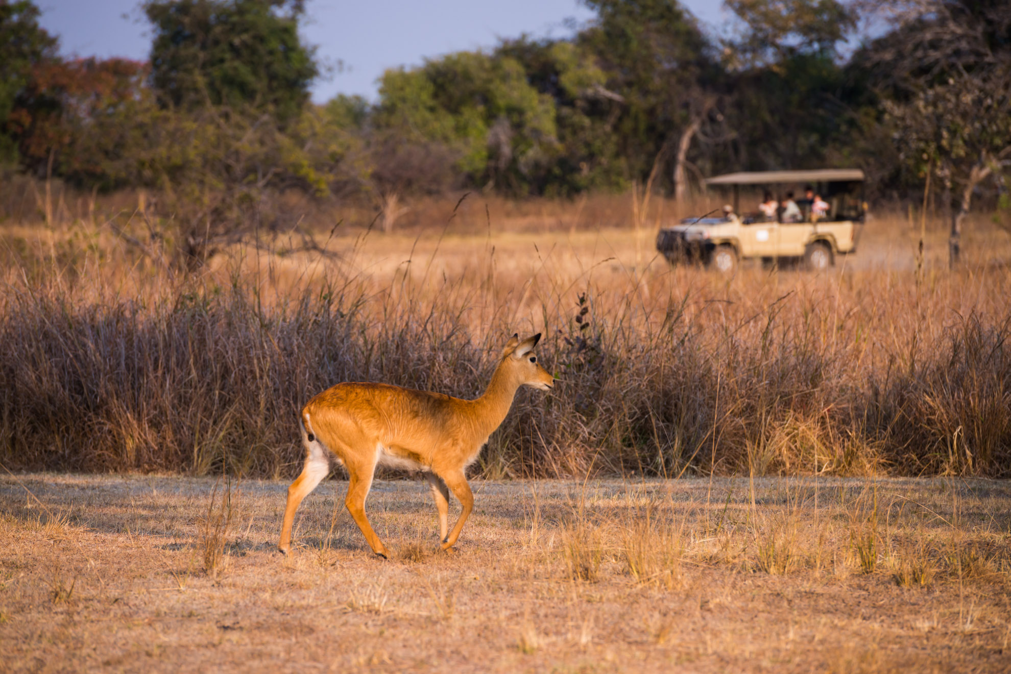 KaingU Safari Lodge en Kafue