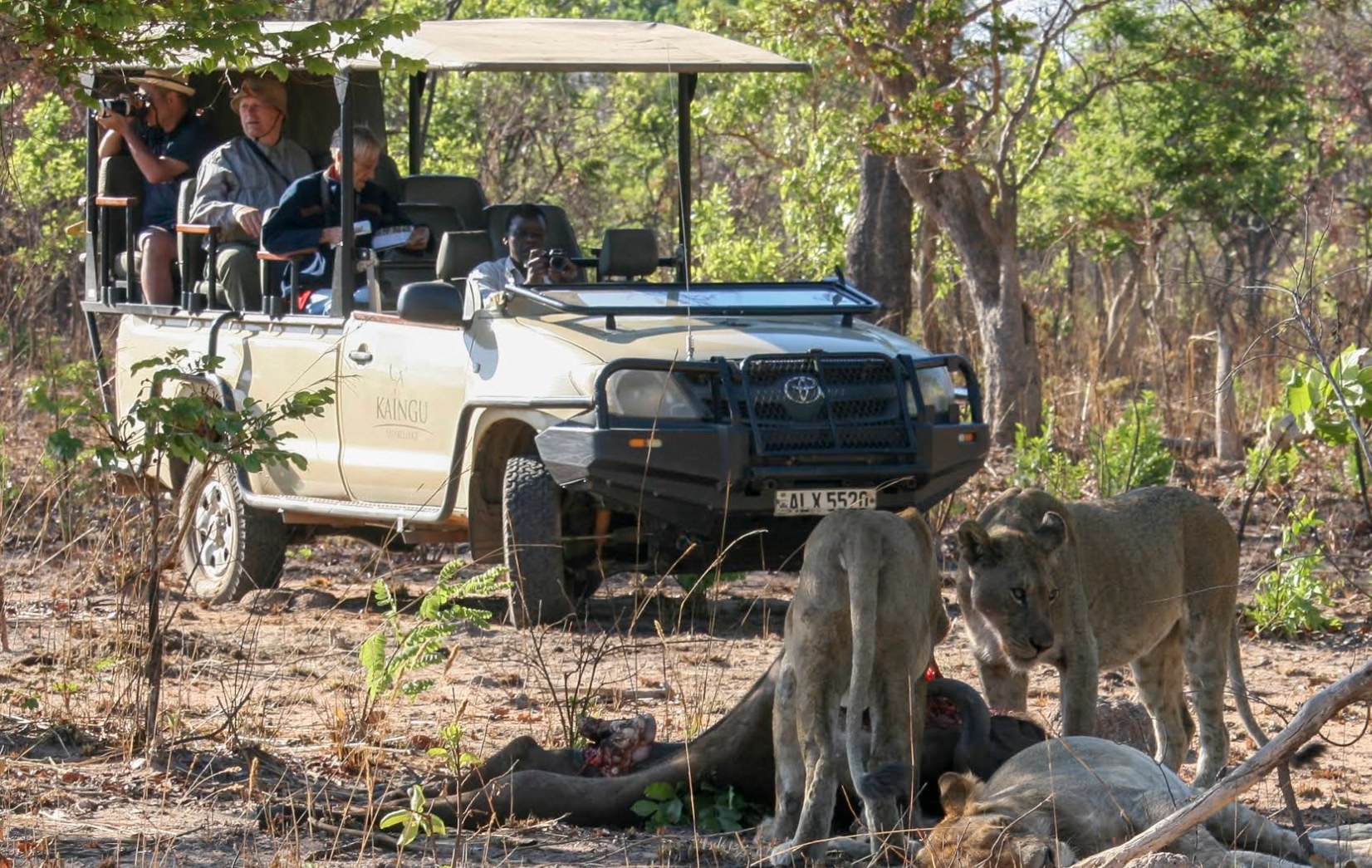 KaingU Safari Lodge en Kafue