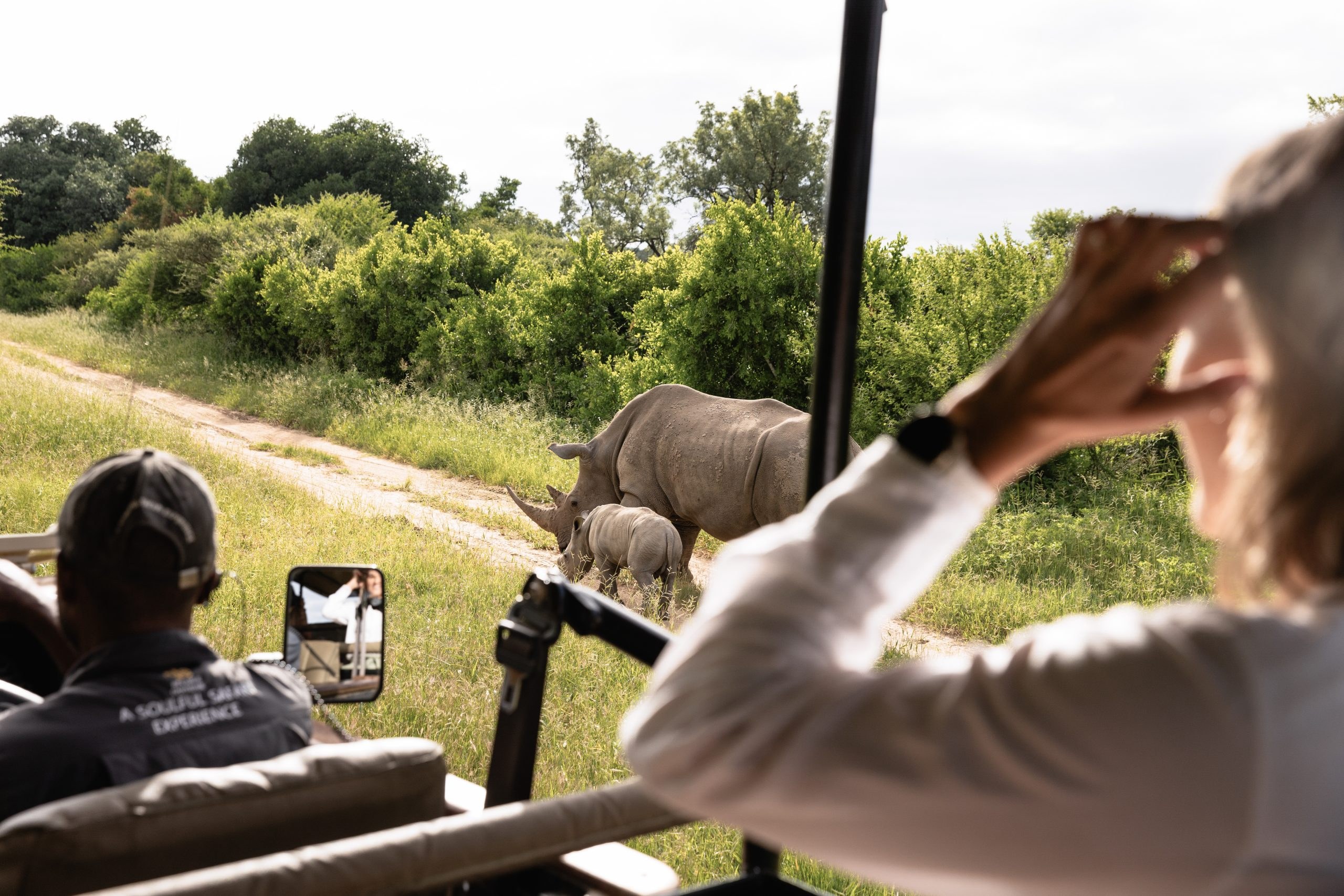 Jabulani en Kapama Private Game Reserve