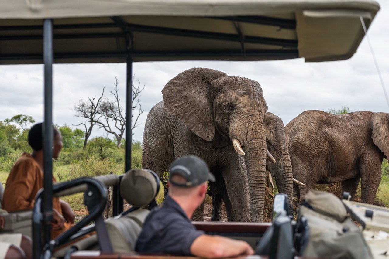 Jabulani en Kapama Private Game Reserve