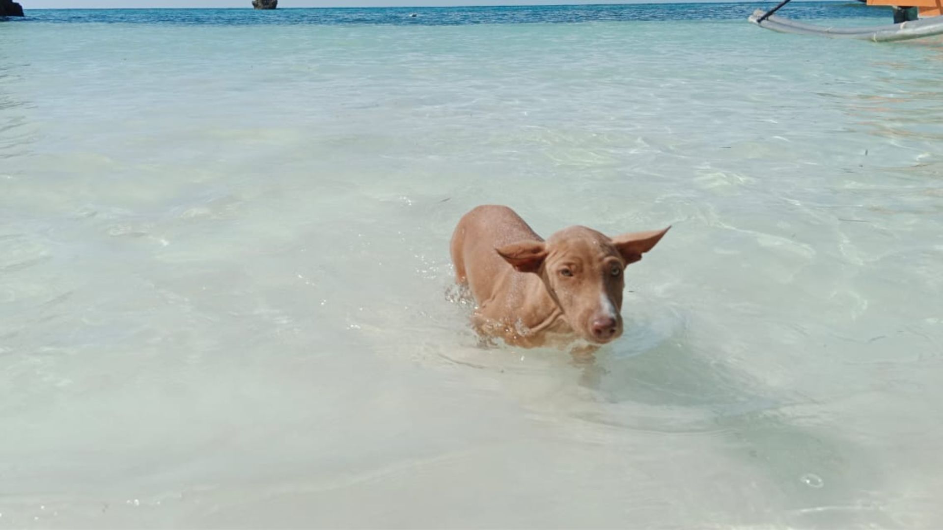 Lia Beach, Islas Togean