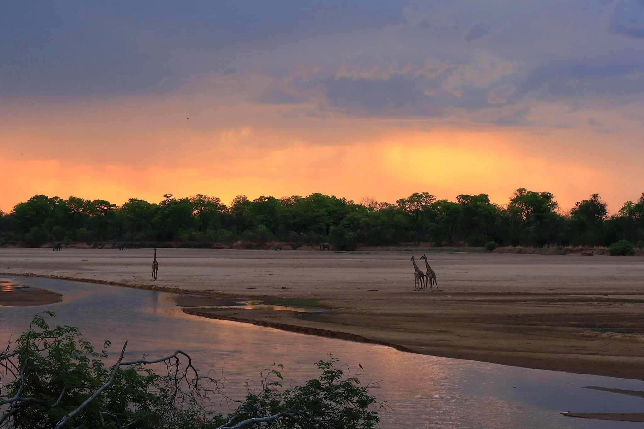 Luambe Camp, Luambe National Park, Luangwa Valley