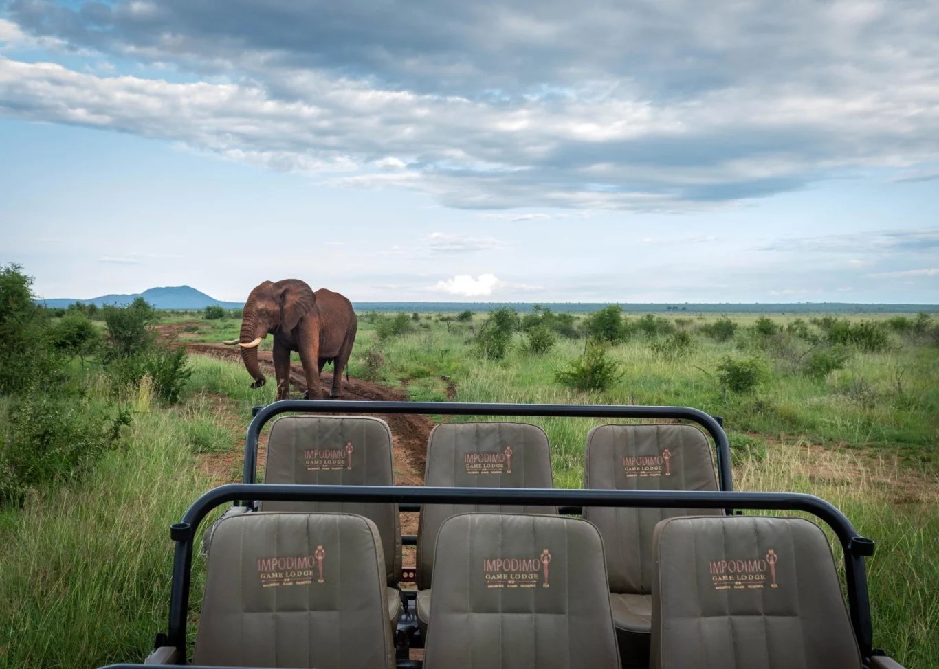 Impodimo Game Lodge | LAT.40