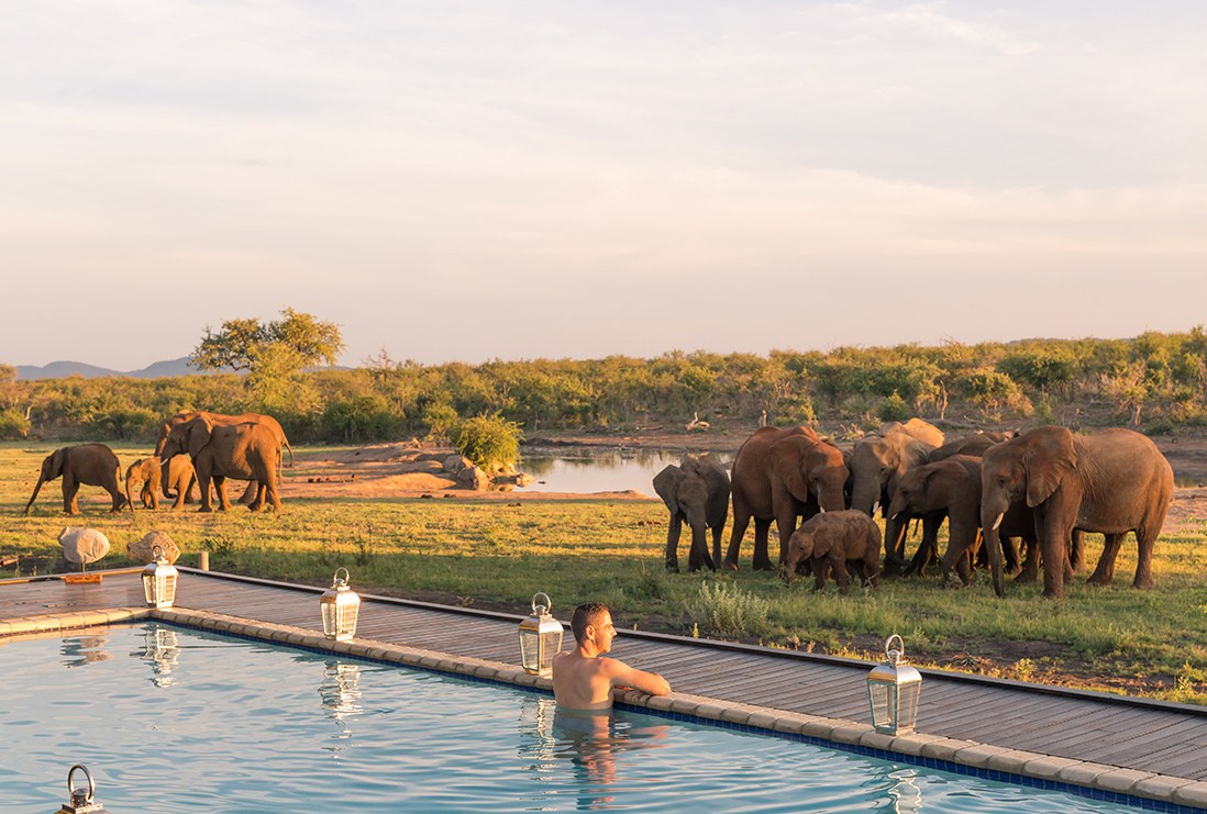 Jamala Madikwe en Madikwe Game Reserve