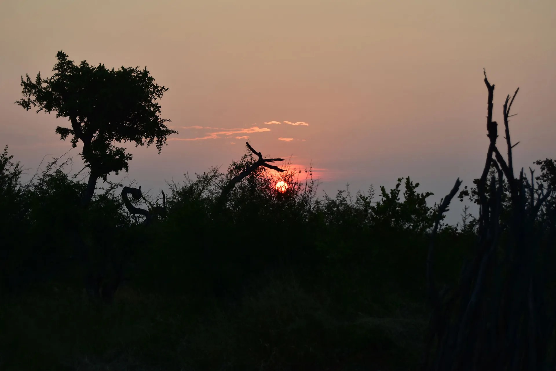 Rhulani Safari Lodge en Madikwe Game Reserve