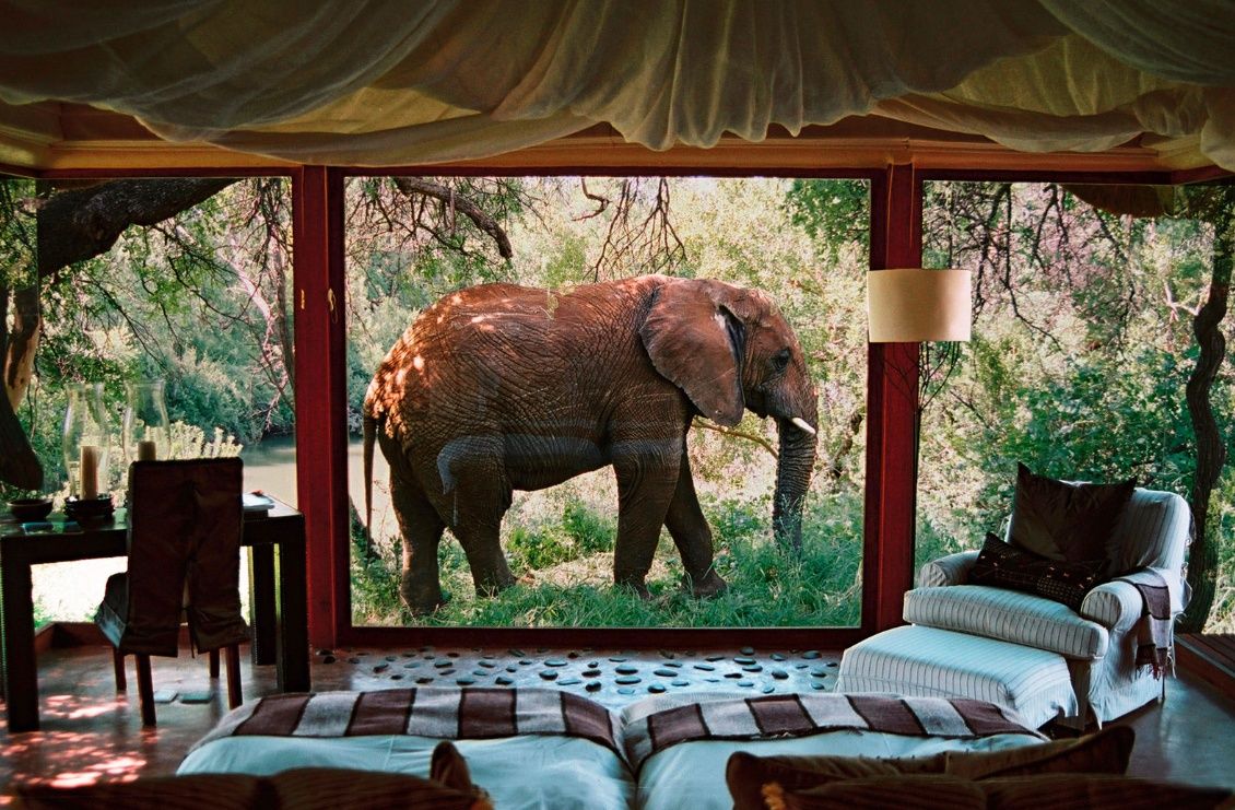 Luna de miel Ciudad del Cabo, safari en Madikwe y Mozambique diseñado por LAT.40