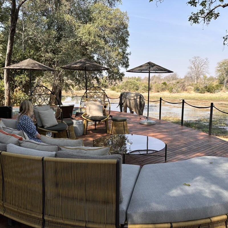 Molori Mashuma, Mana Pools