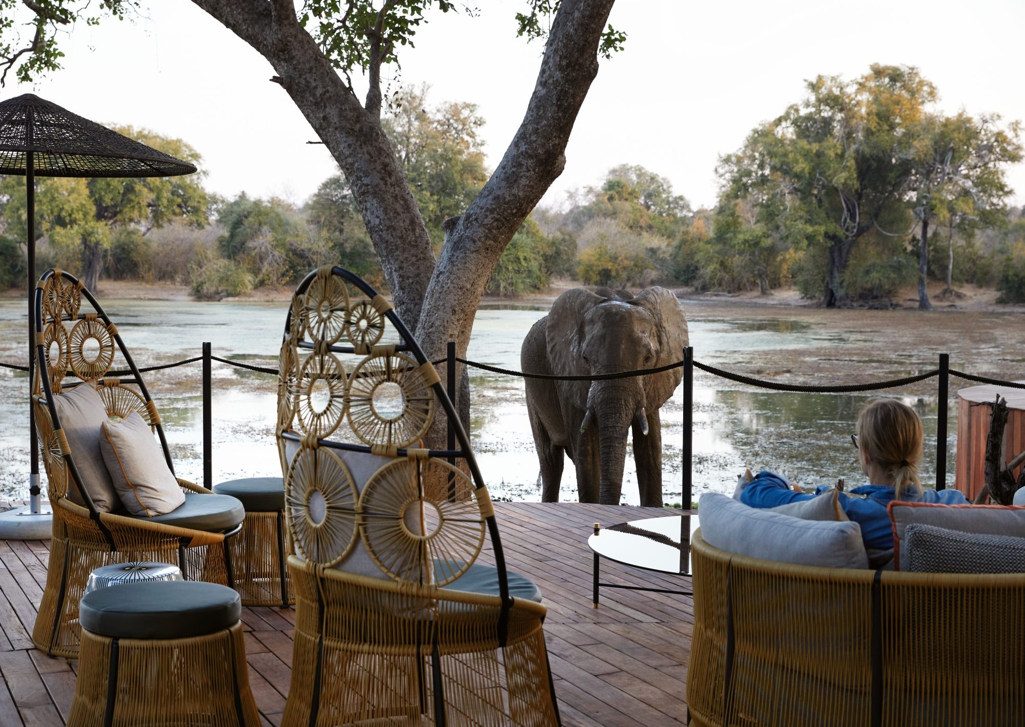 Molori Mashuma, Mana Pools