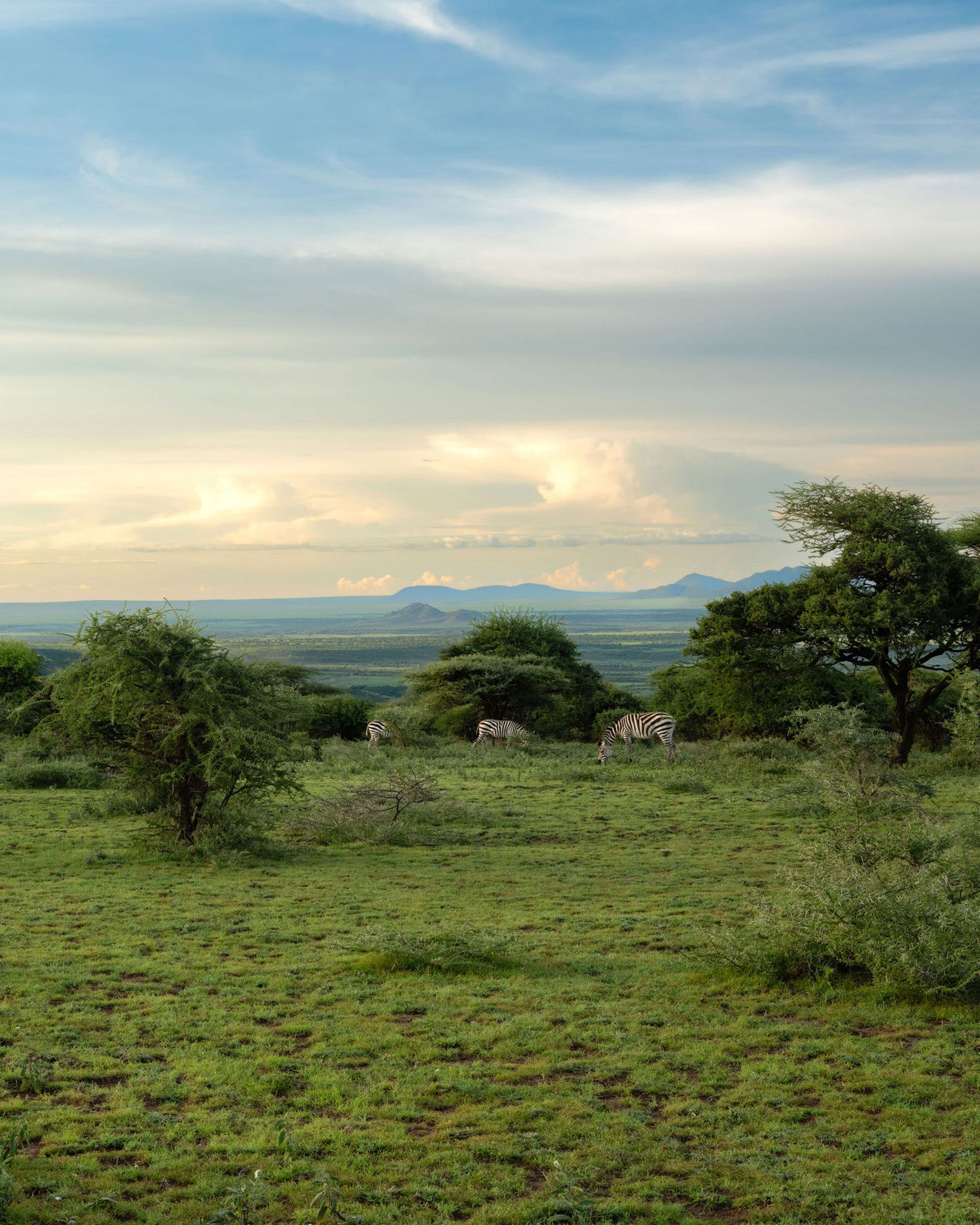 Ngorongoro Crater Camp, an A&K Sanctuary en Ngorongoro