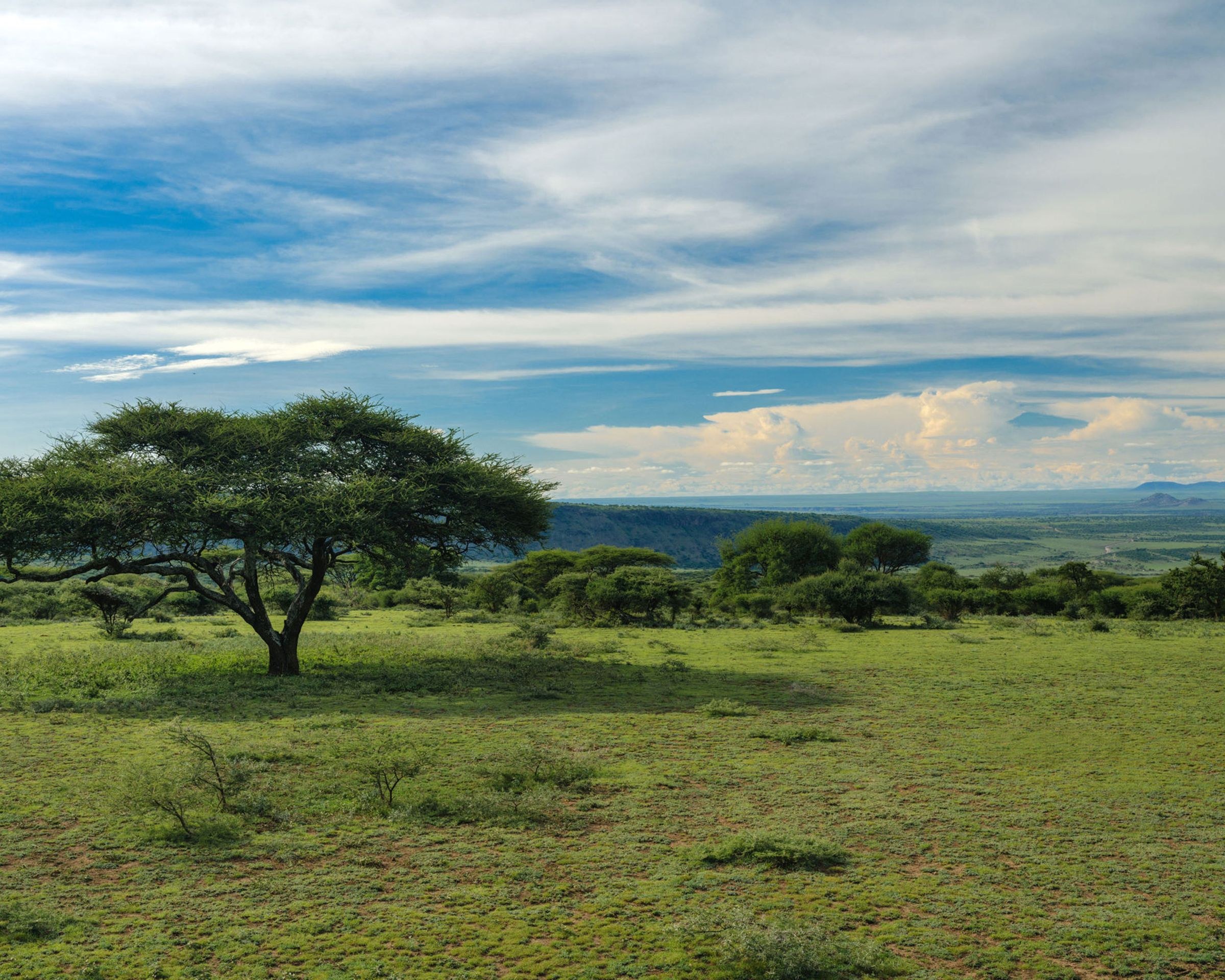 Ngorongoro Crater Camp, an A&K Sanctuary en Ngorongoro