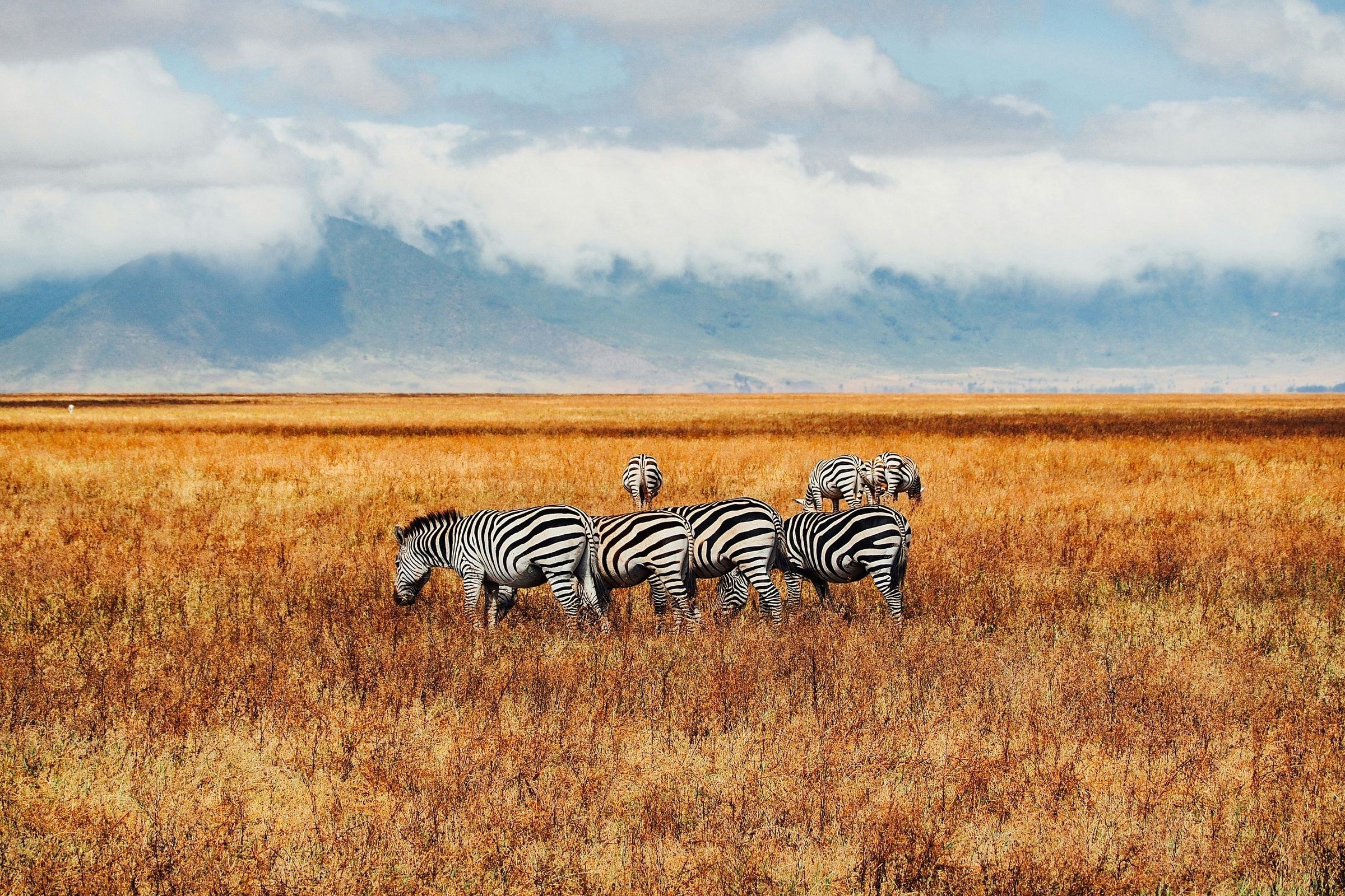Ngorongoro Crater Camp, an A&K Sanctuary en Ngorongoro