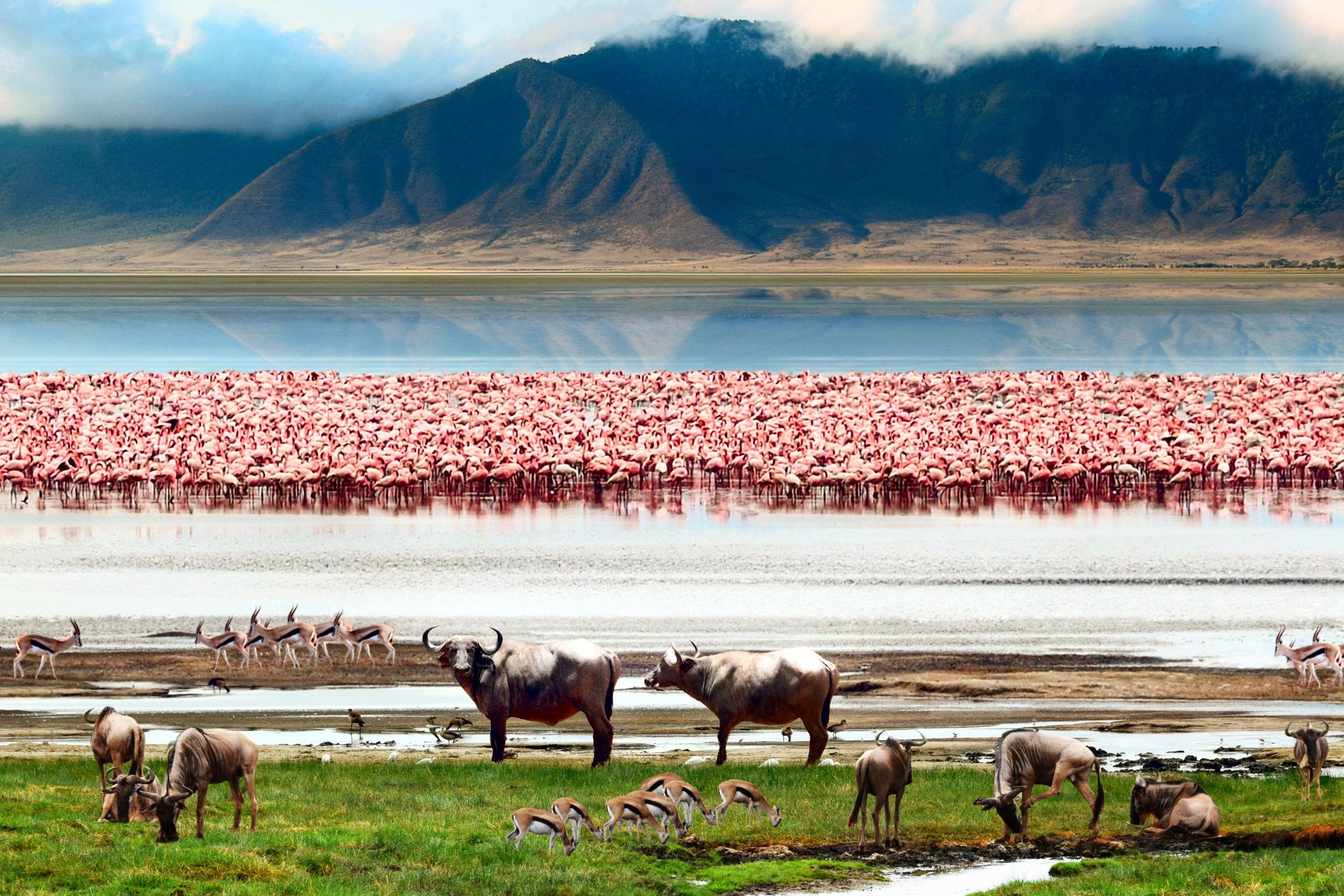 Ngorongoro Crater Camp, an A&K Sanctuary en Ngorongoro