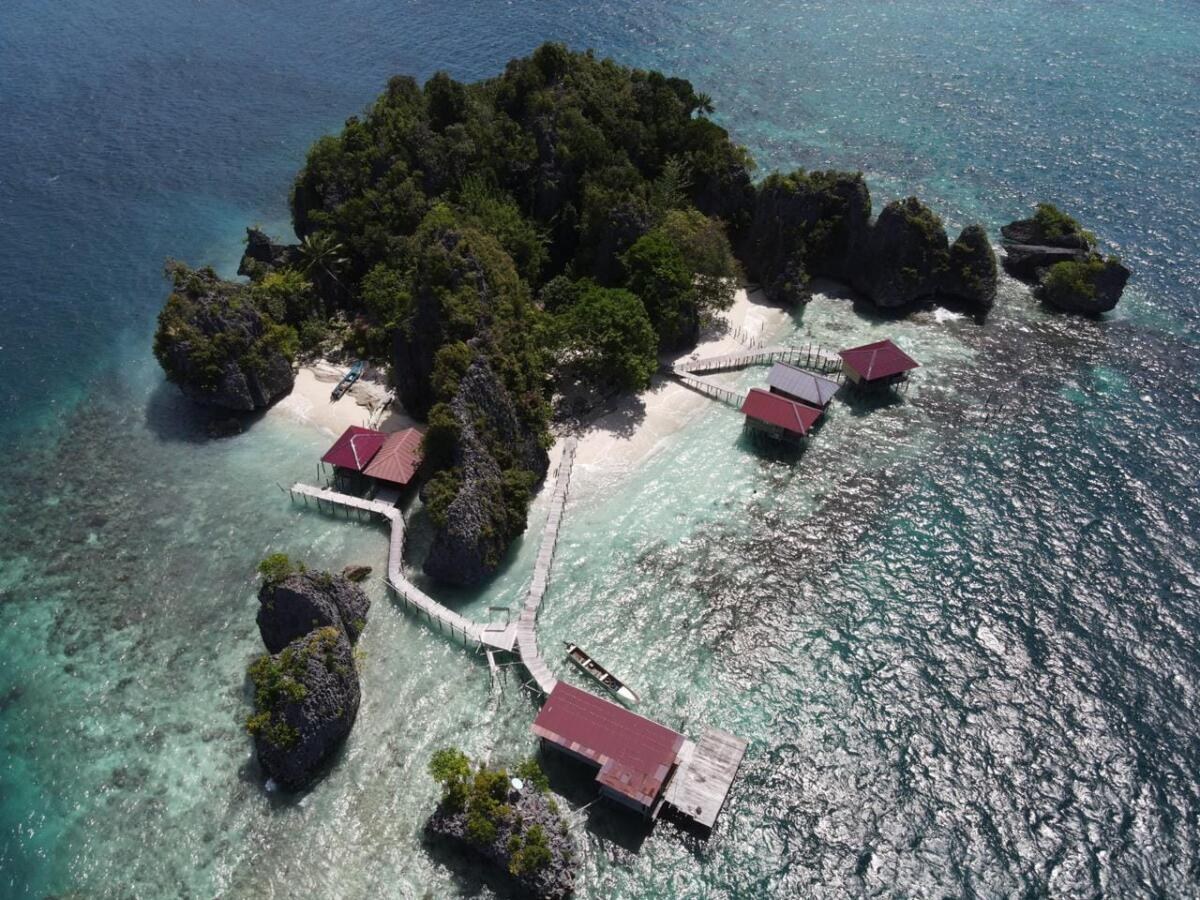 Nut Tonton Homes | LAT.40