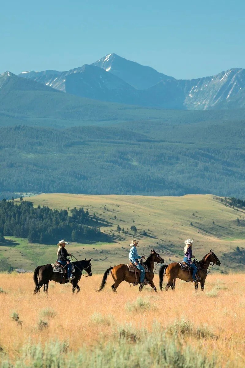 Horseback Riding Summer Thumbnail