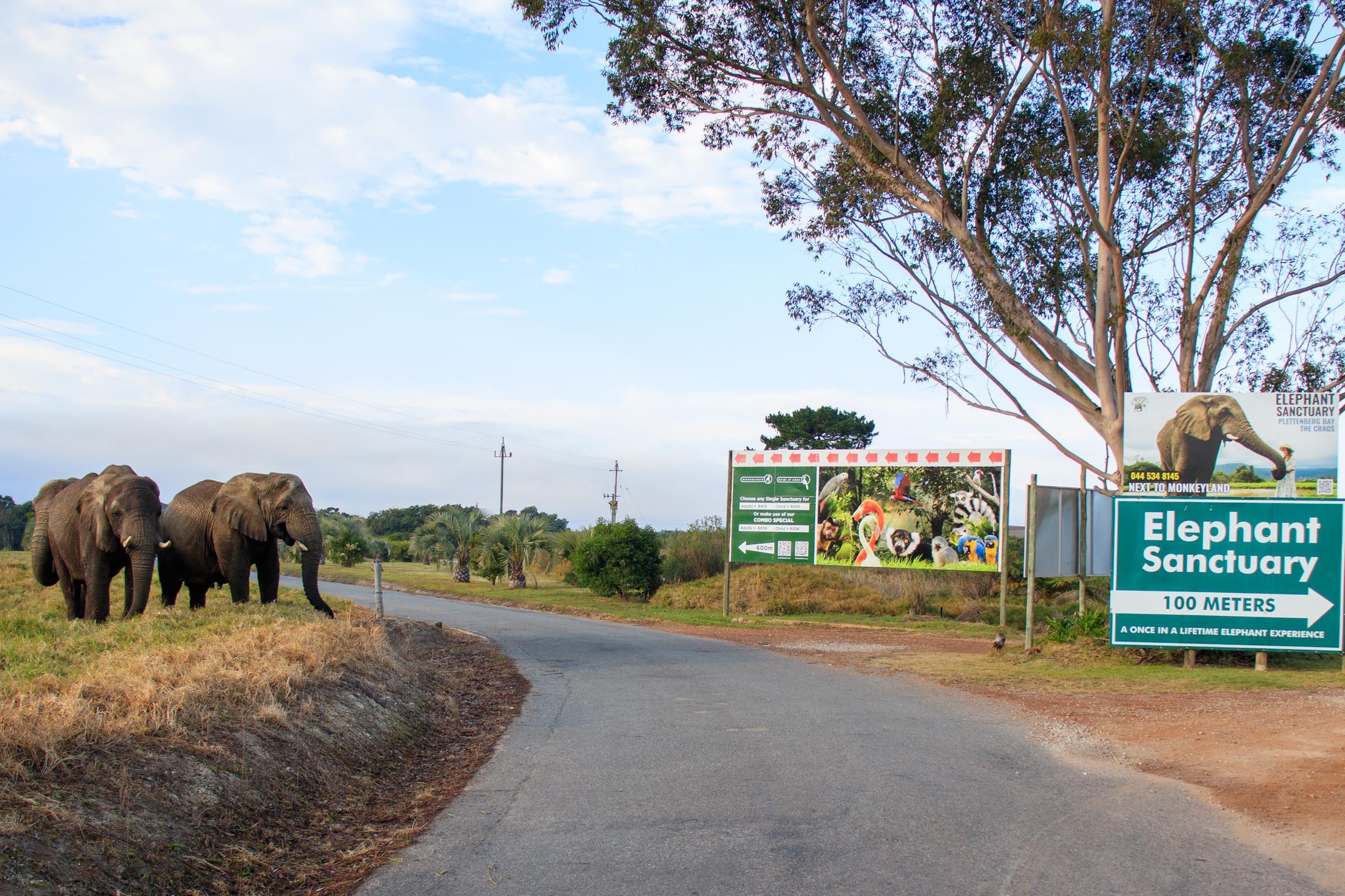 The Plettenberg en Plettenberg Bay