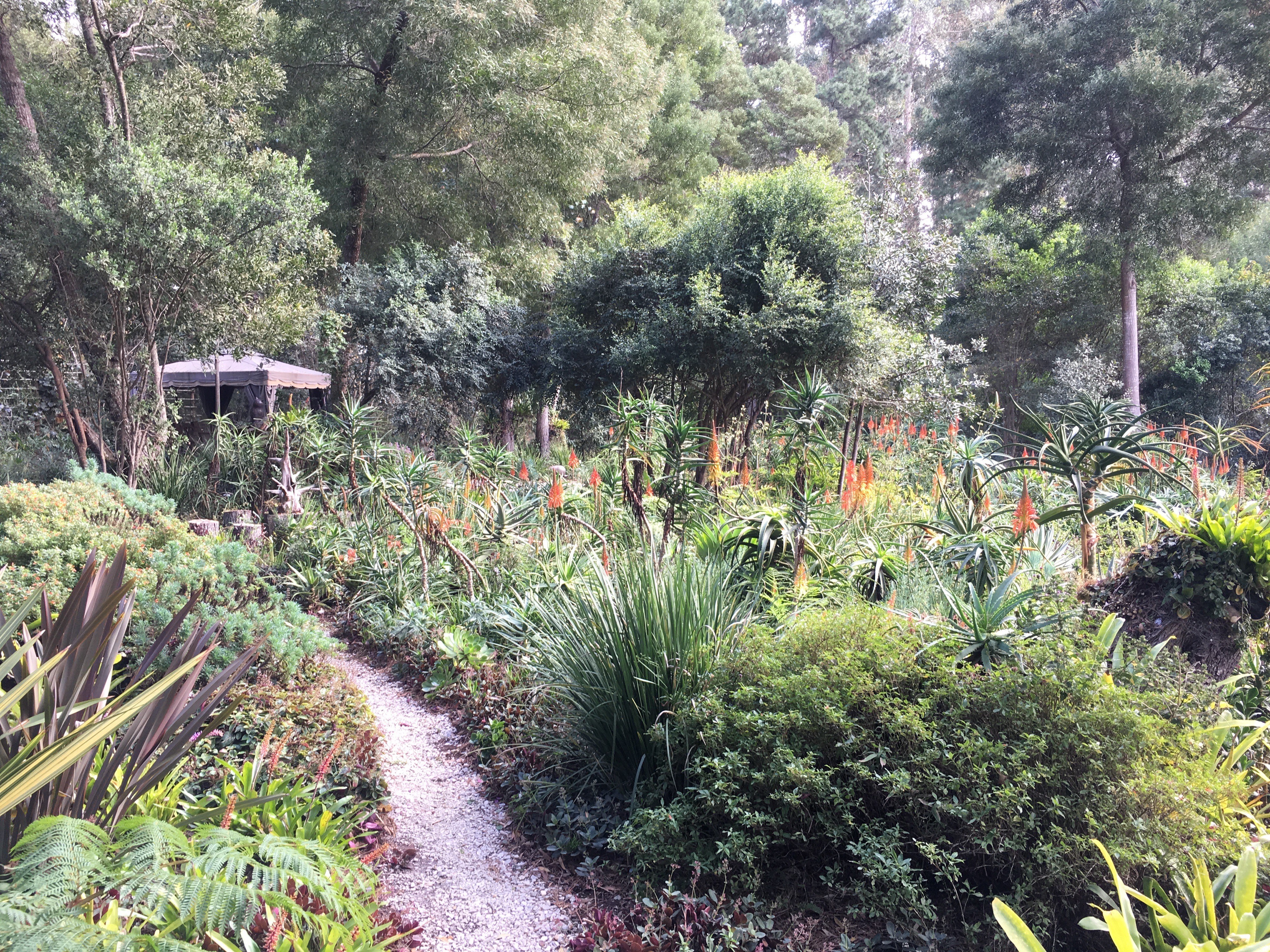 Hunter's Estate Aloe Garden with Gazebo