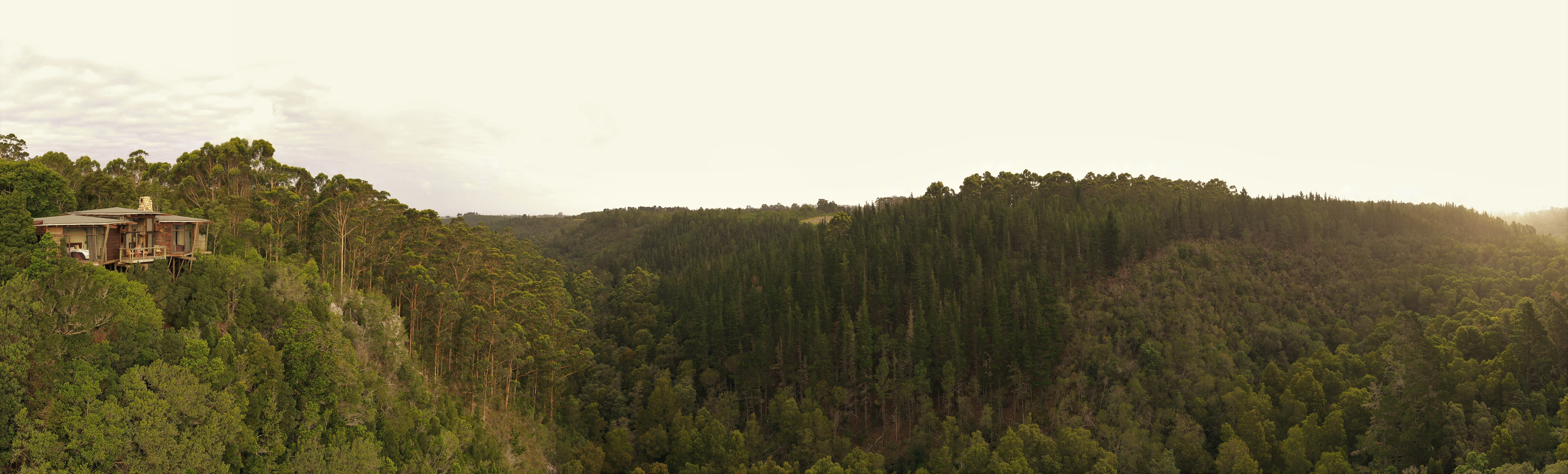 Tsala Aerial View 4