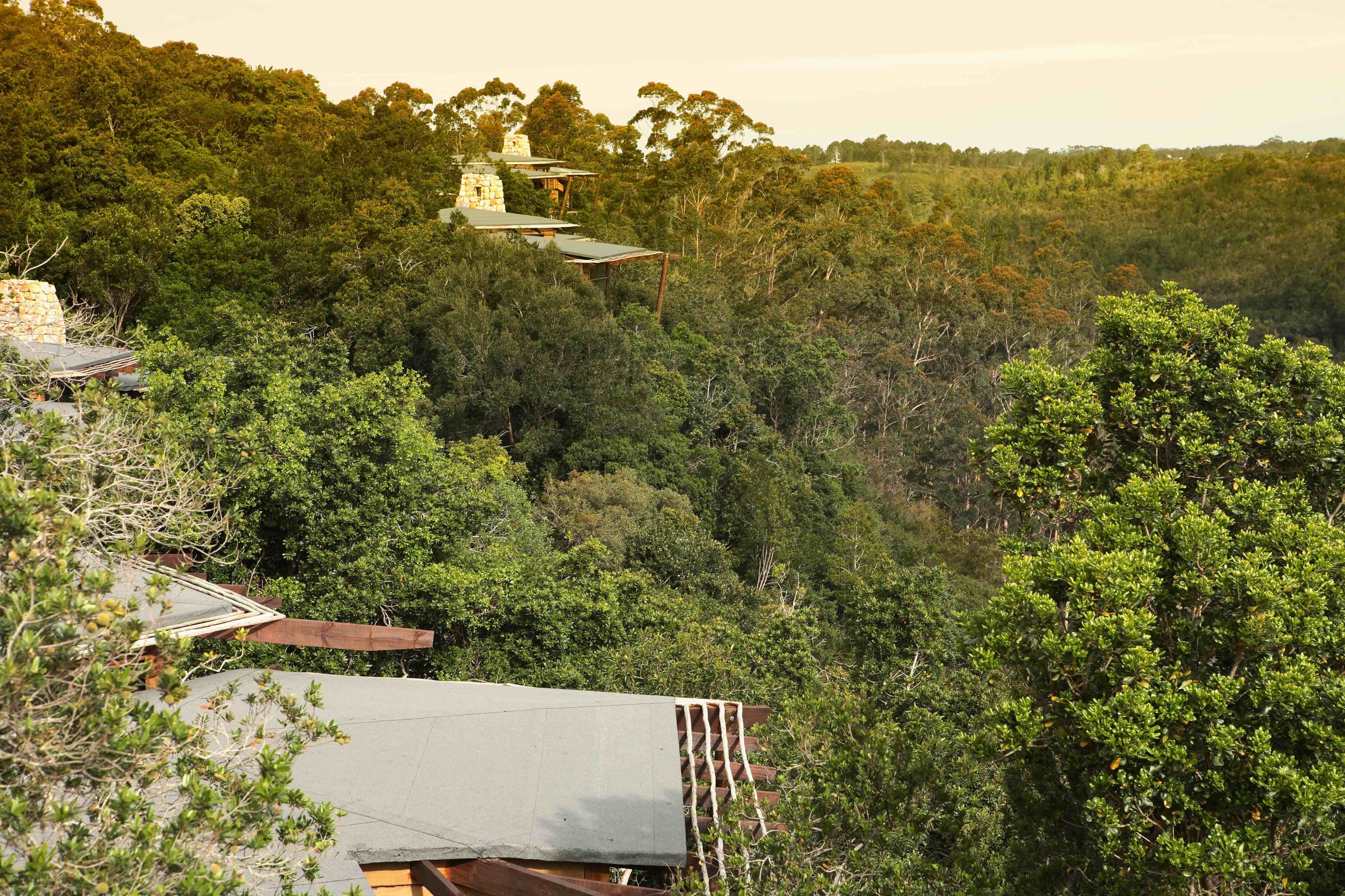 Tsala Forest View