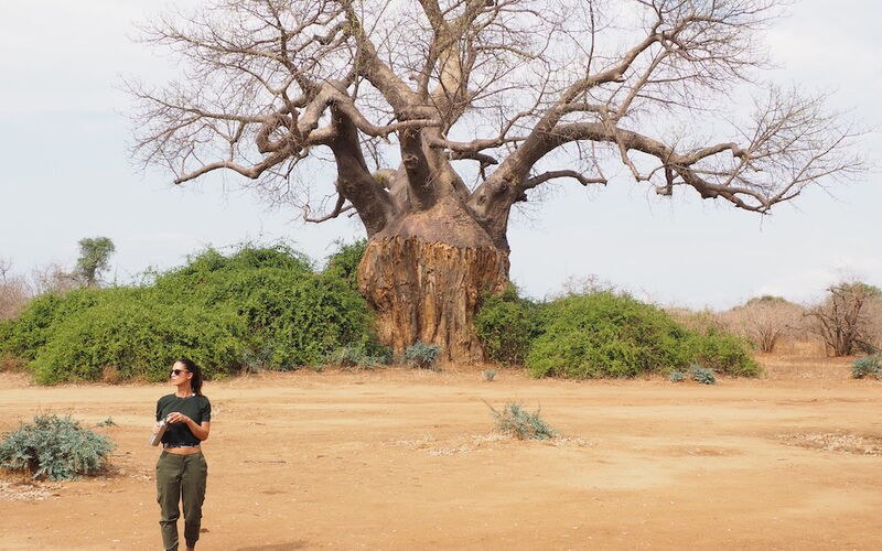 Potato Bush Camp, Lower Zambezi