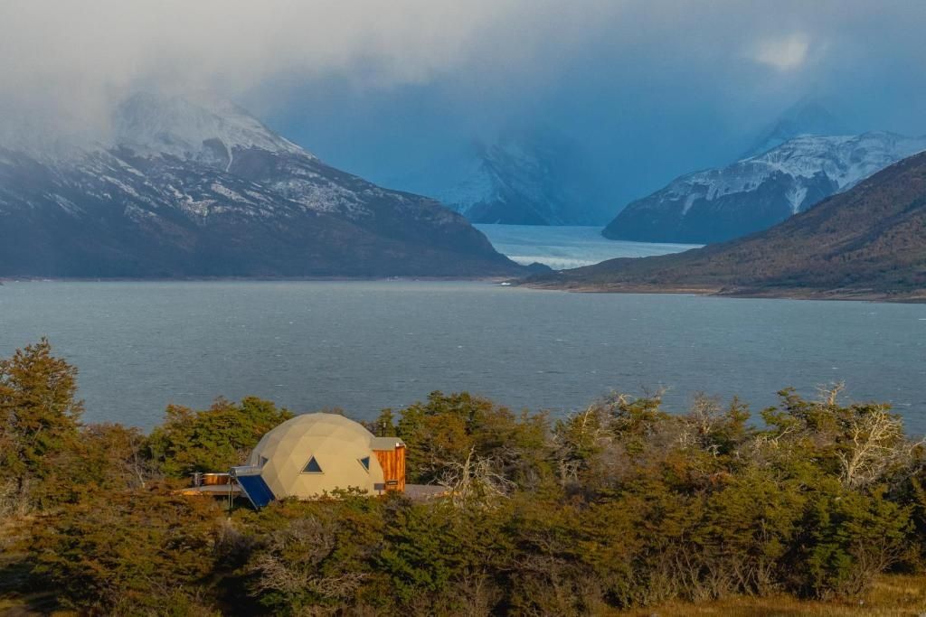 Calafate