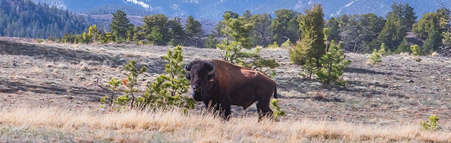tedturnerreserves vermejo experiences 1 680954c9632bc