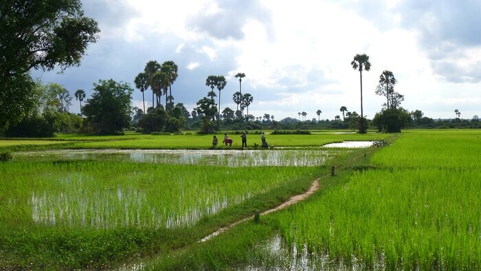 Siem Reap | LAT.40