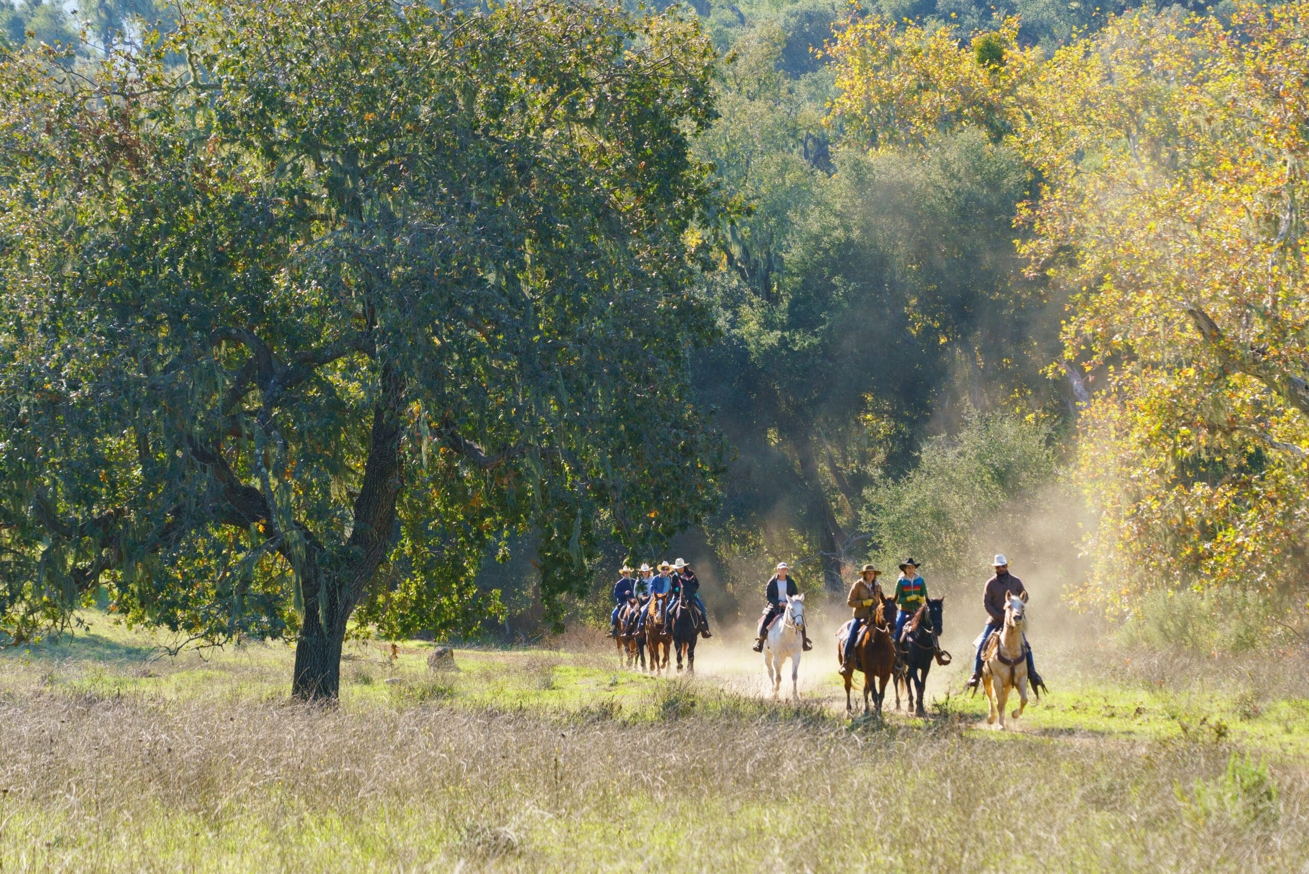 DCH Alisal Ranch Horses