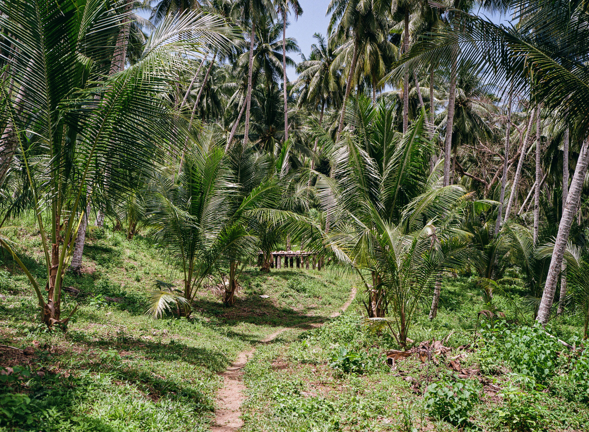 The Angkayo, Islas Togean
