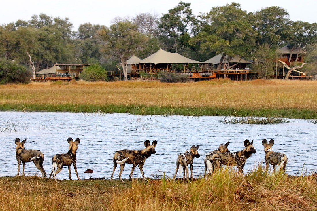 Tuludi Camp, Delta del Okavango