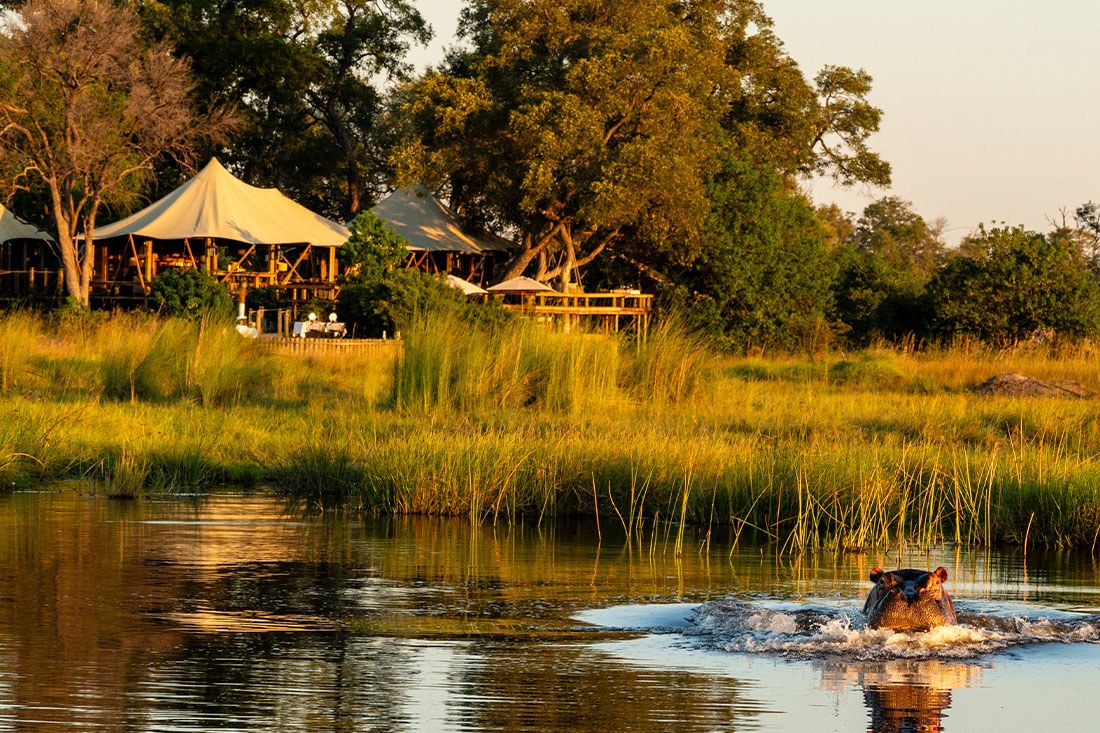 Tuludi Camp, Delta del Okavango