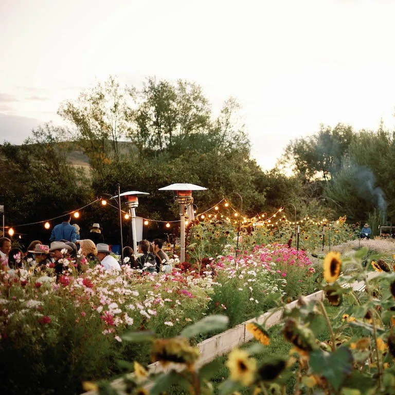 BSK Home Summer   Dine