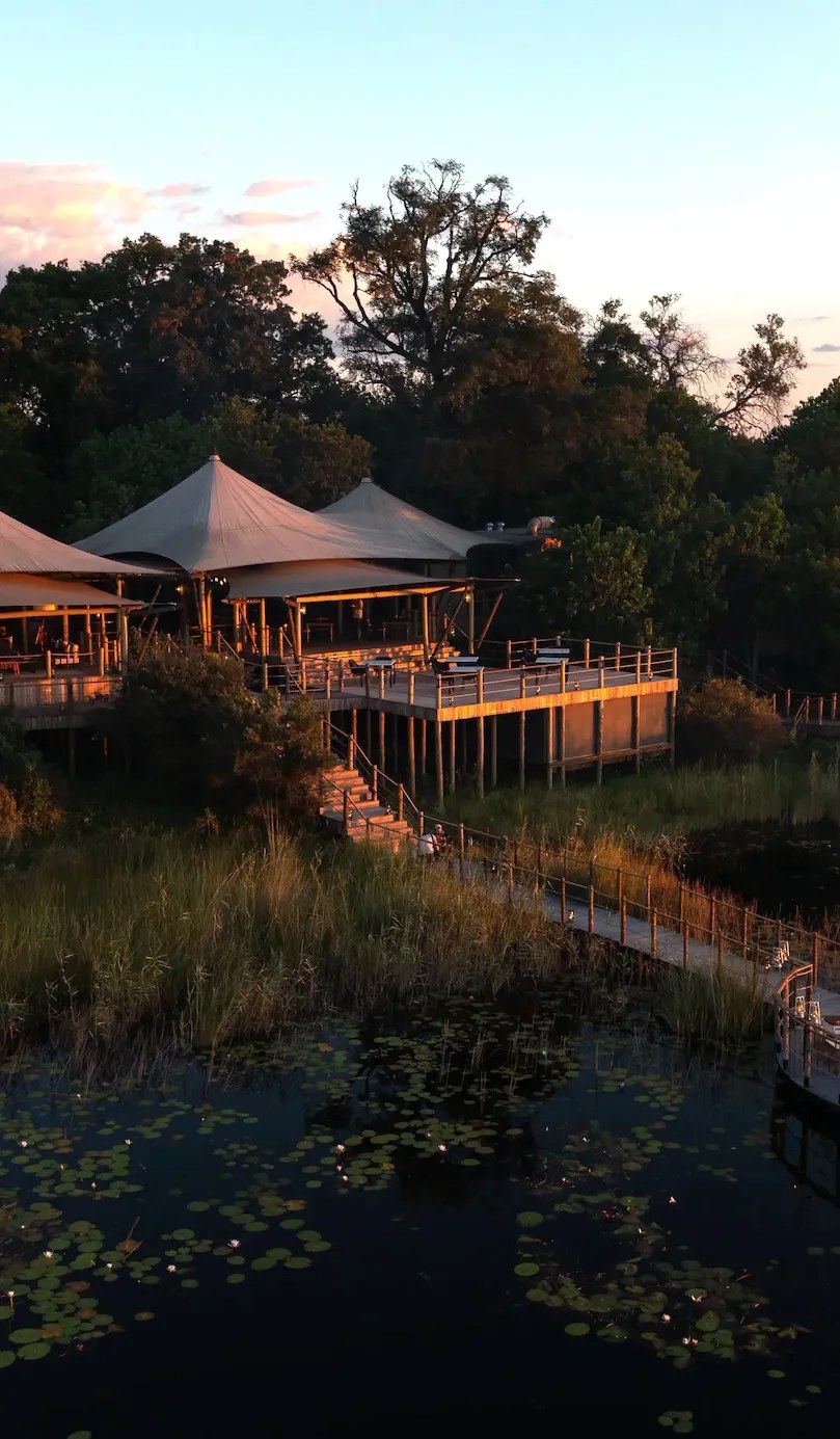 Wilderness DumaTau, Delta del Okavango